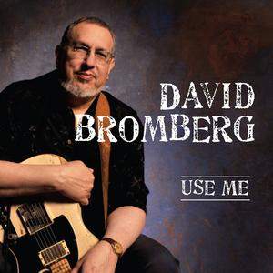 David Bromberg