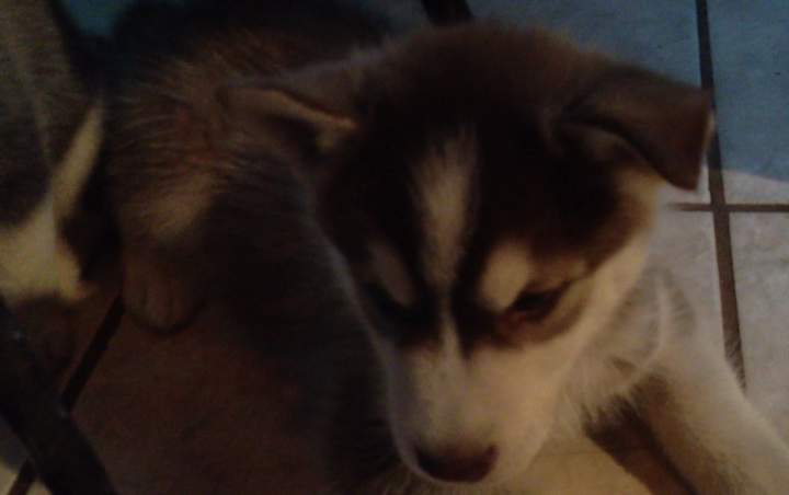 (Untitled)