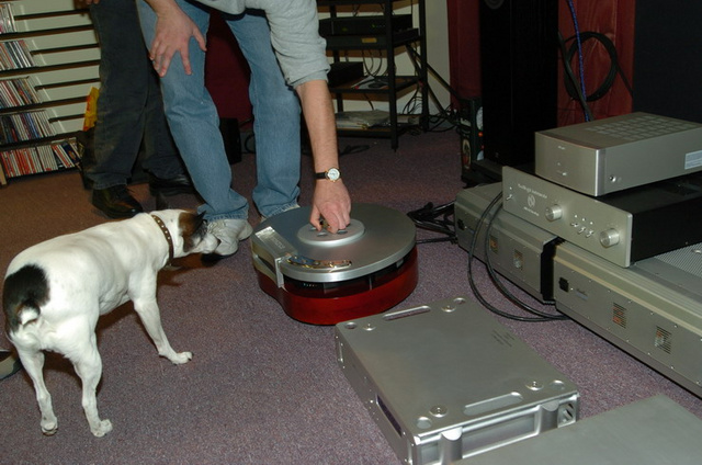 Dog checking out the Consonance bowl