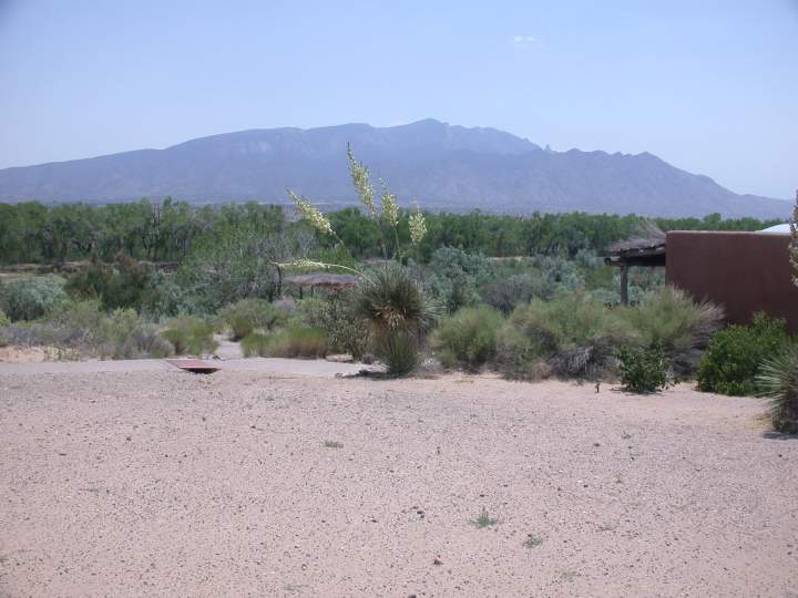 Typical countryside.