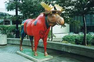 mountie moose