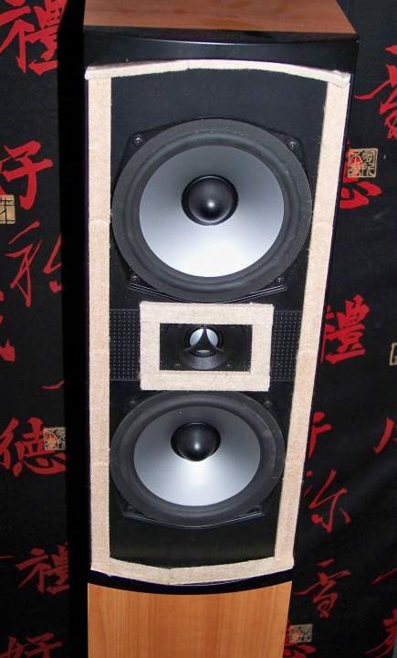 Speaker Felt 1