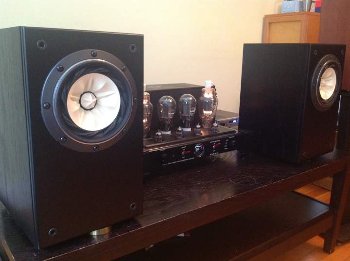 Single Driver Speakers
