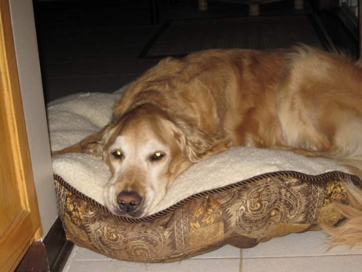 Reuben