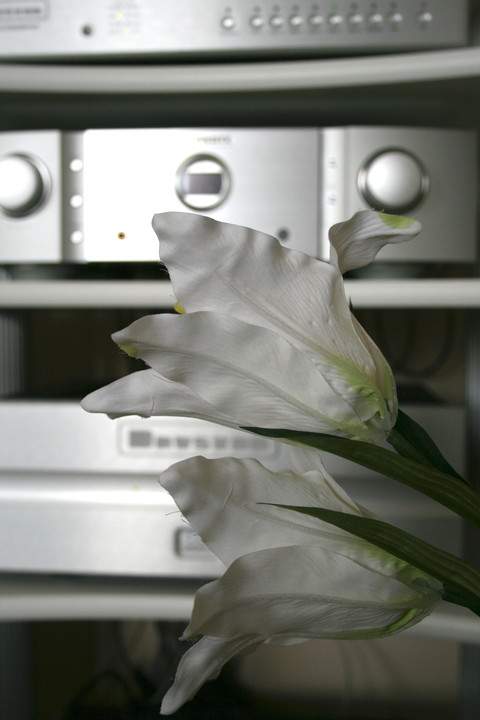 (Untitled)