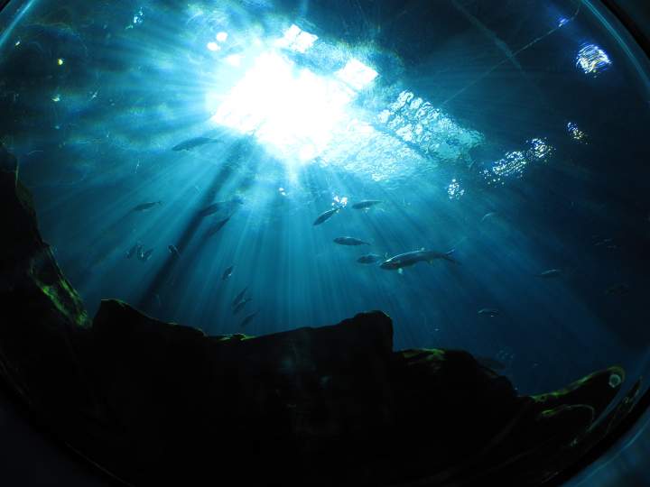 - light rays