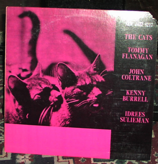 The Cats