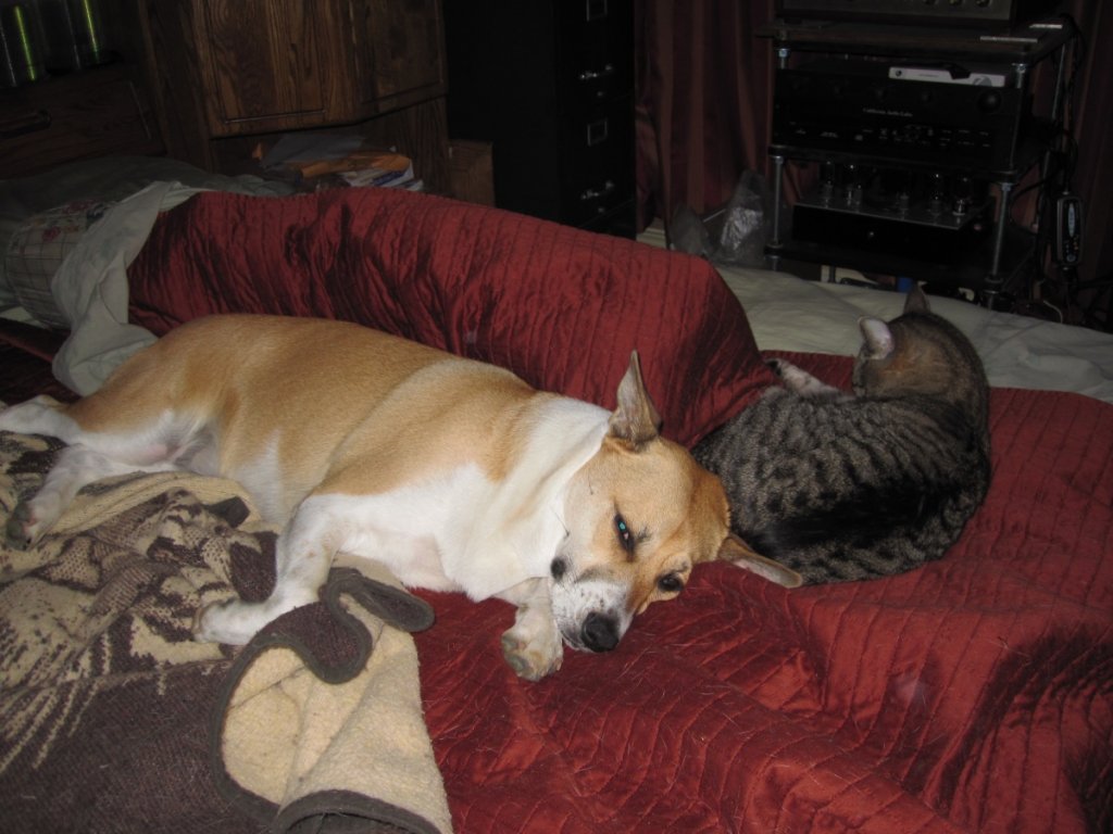 (Untitled)