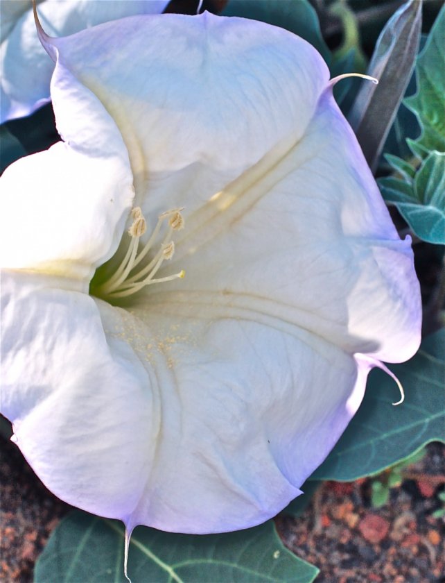(Untitled)