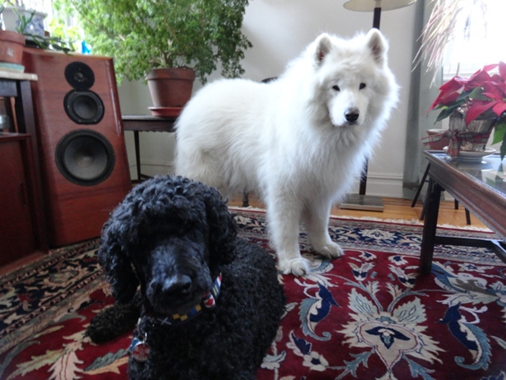 LB&Floyd (3)