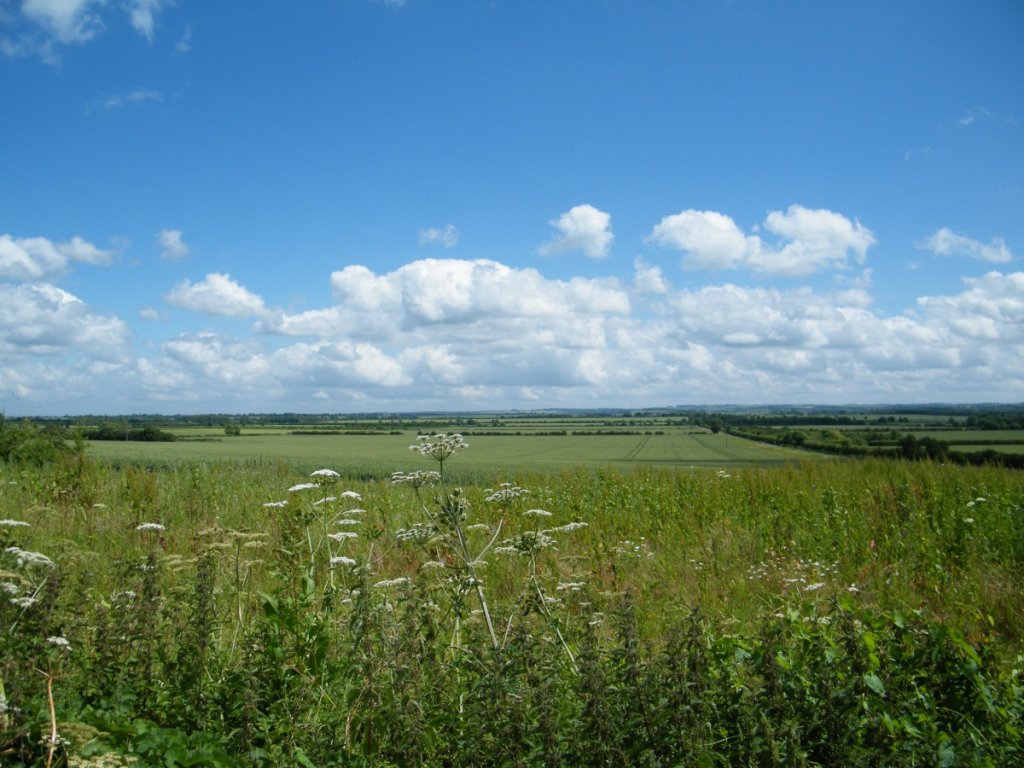 (Untitled)
