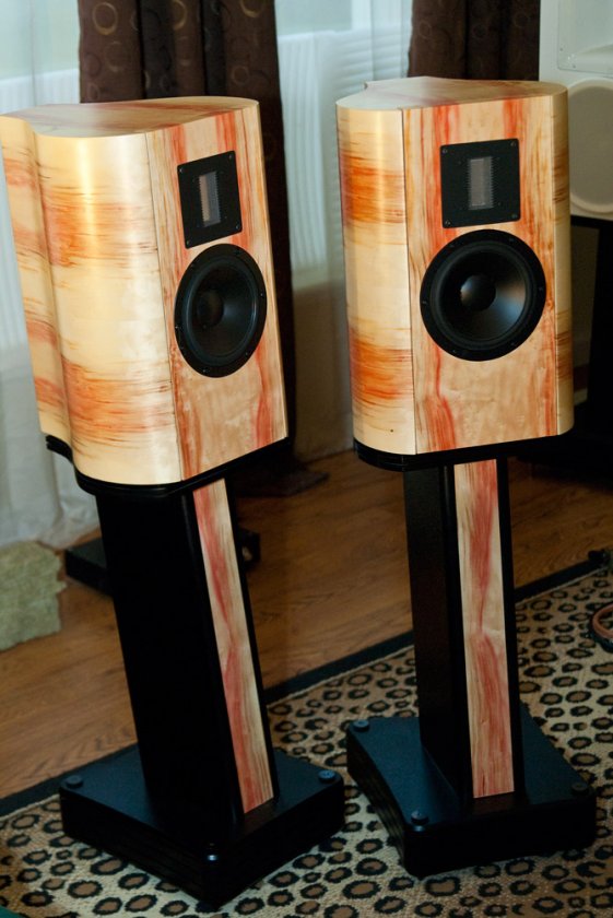 Cirrus Black in Red Flame Boxelder