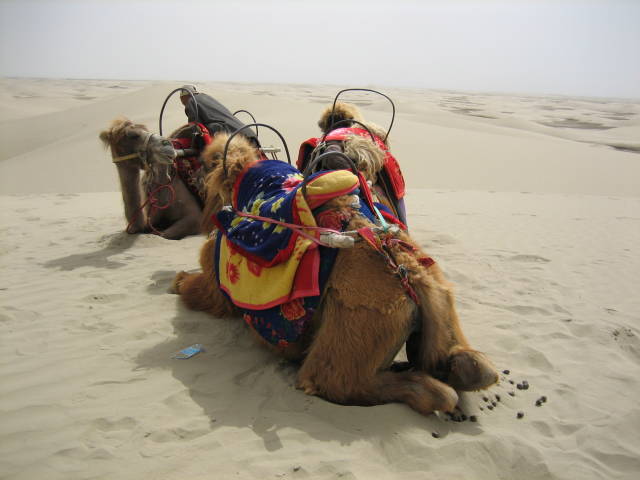 Taklamakan desert