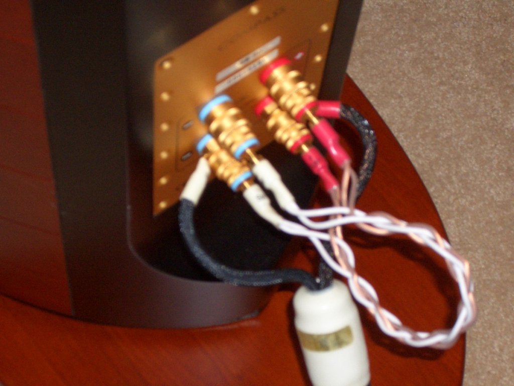(Untitled)
