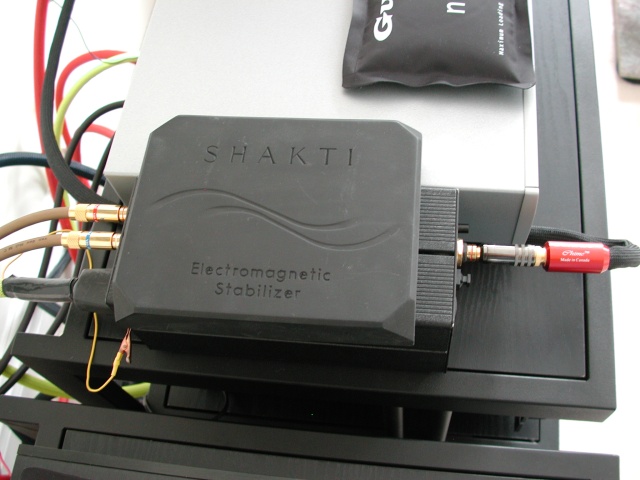 Bel Canto DAC w/Shakti Stone