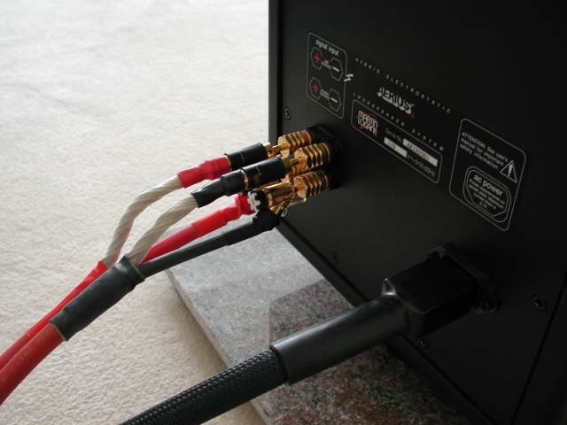 Van Den Hul Revelation Bi-Wired w/WBT Plugs and PS Audio Mains Cables