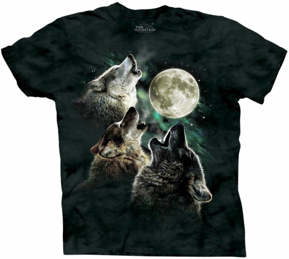 3 wolf moon tshirt