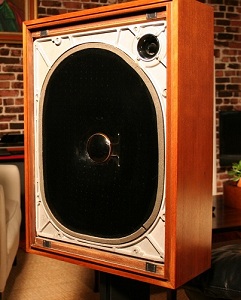 Yamaha Natural Ear Speaker - front