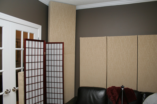 Room treatments, door, panel... kind of a mess - This will change.. the doors will get curtains and the screen/divider thing will go away... and the little panel is going away also.