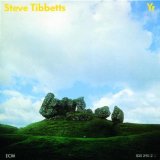 steve tibbetts