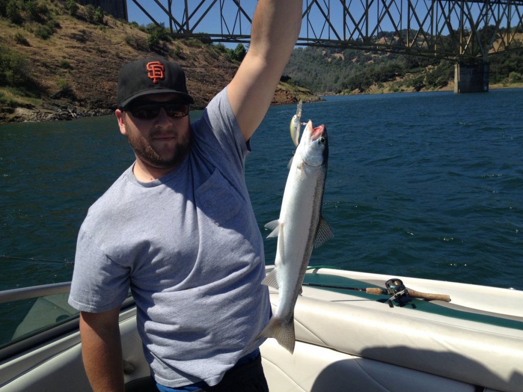 #1 on Lake Sonoma