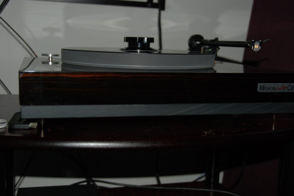 (Untitled)