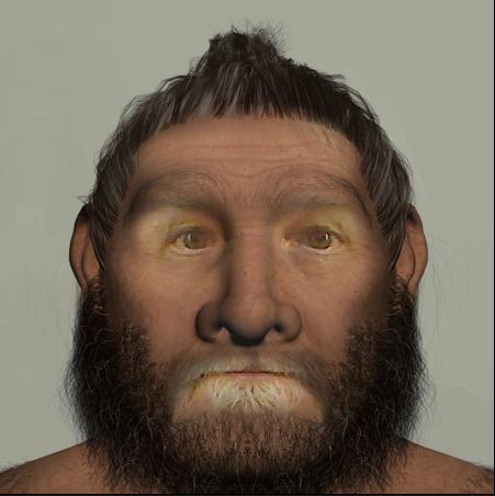 Neanderthal me