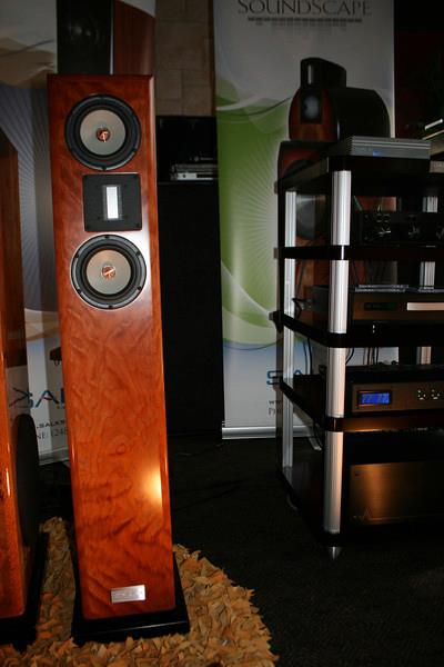The latest addition: bought from one of the vendors here on AC (Salk). This pick is from a FL audio GTG... I bought the ones (these pictured) he brought down to demo with.