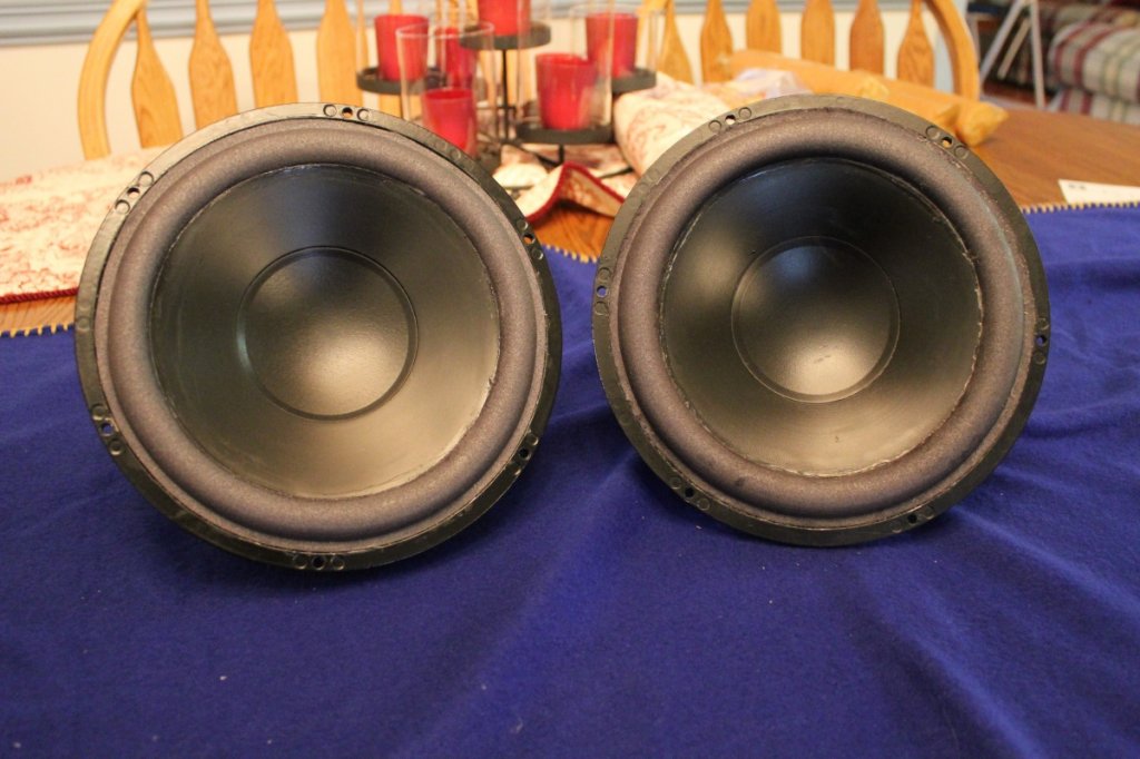 Dynaudio 21W54 9