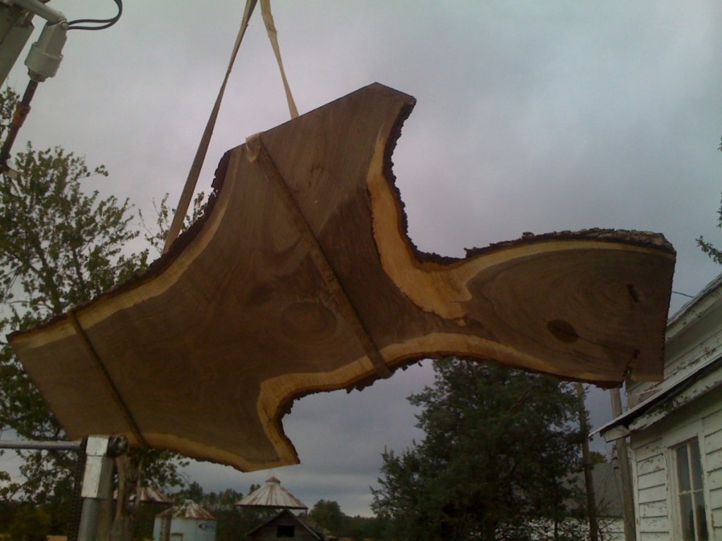 Black Walnut slab
