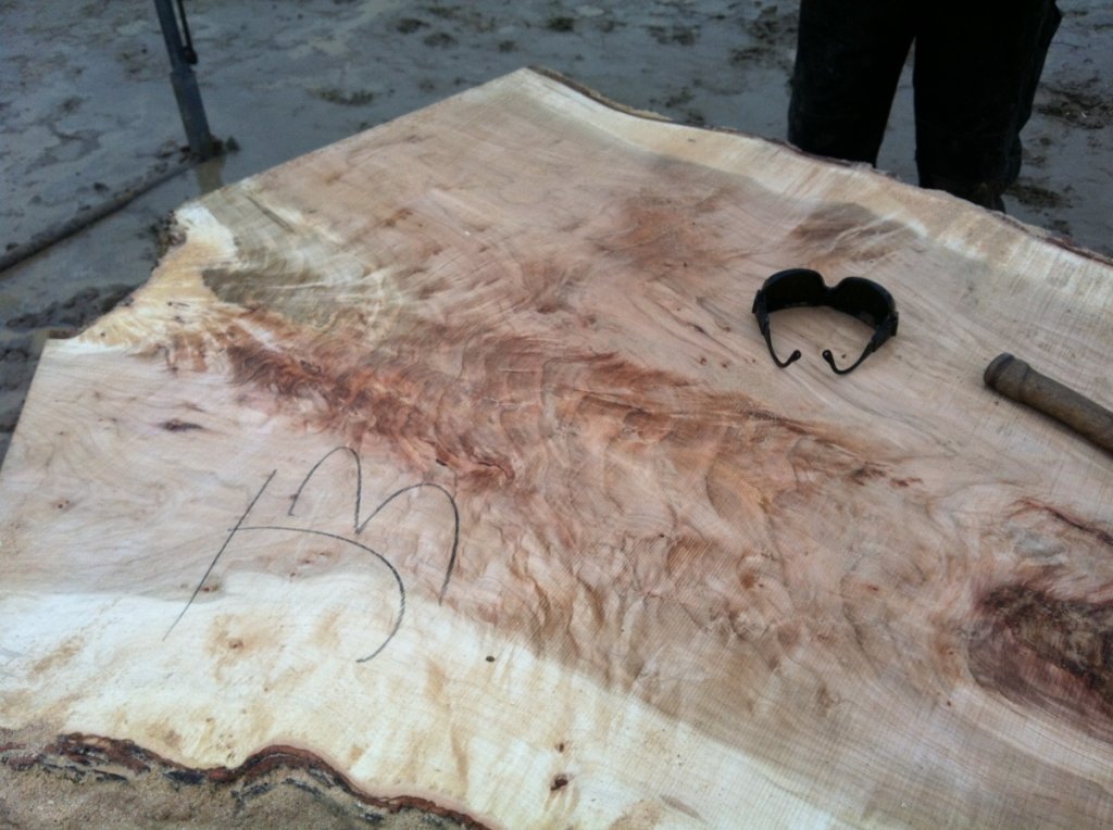 Silver Maple (reclaimed urban wood)