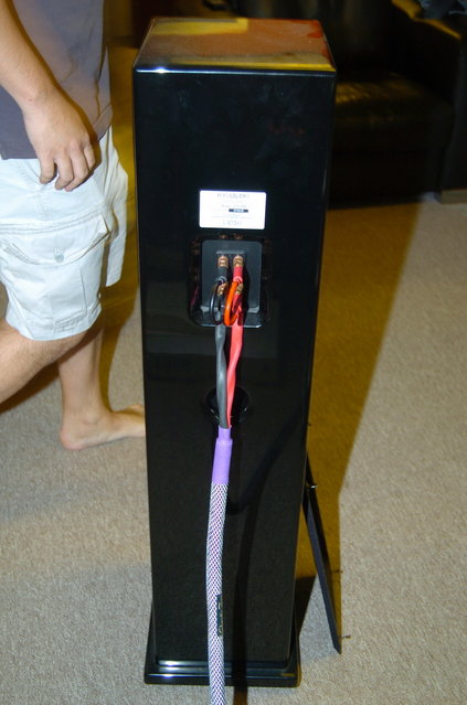 Focus Audio 788s