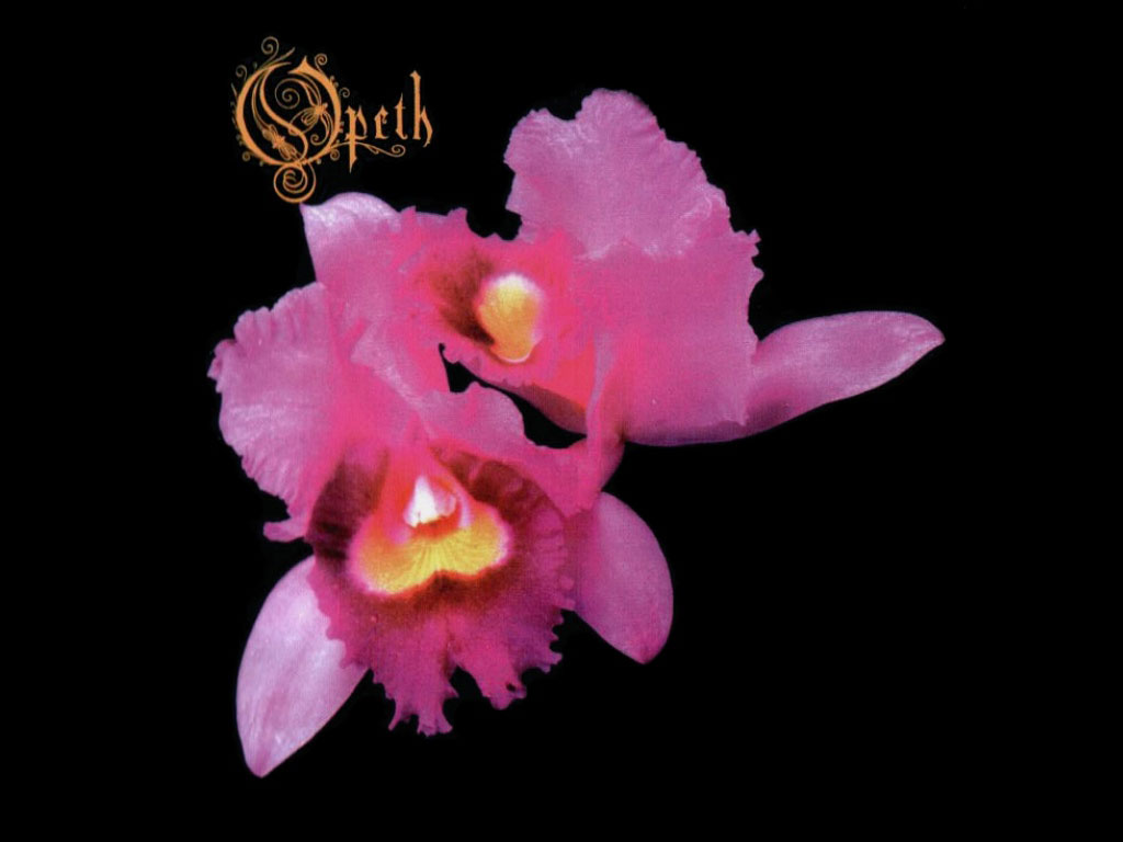 opeth 2 wallpaper