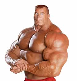 muscle