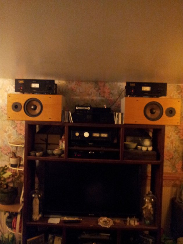 system 1