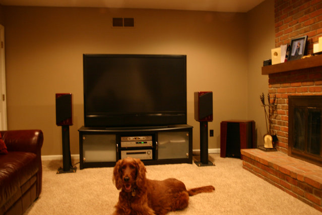 JVC, Merlin, ACI, and "the red rocket" dog