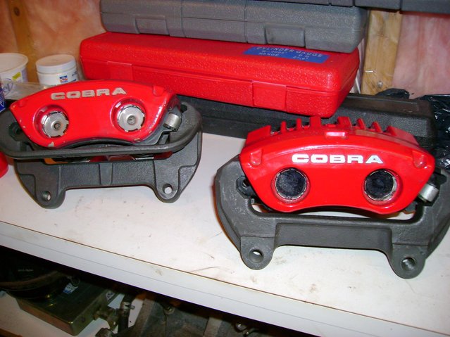 cobra1