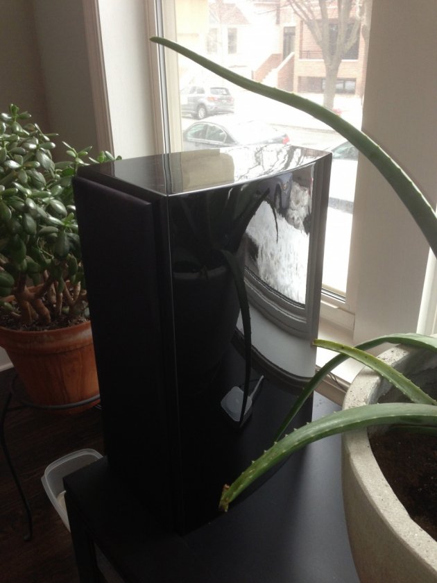 (Untitled)