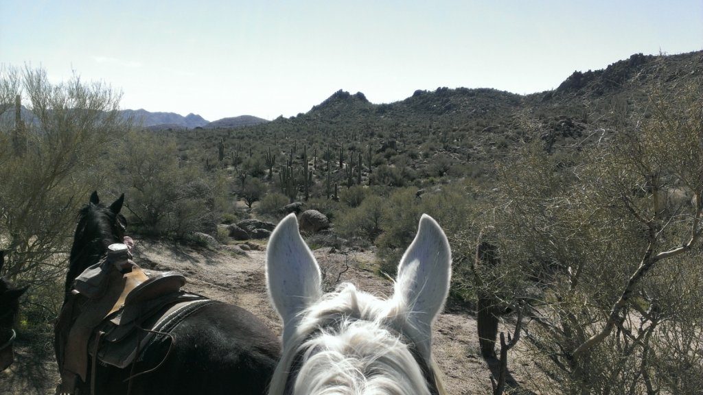 a little horseback riding