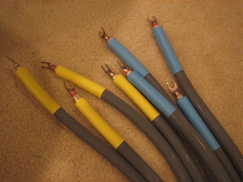 IMG 4354 (Medium)