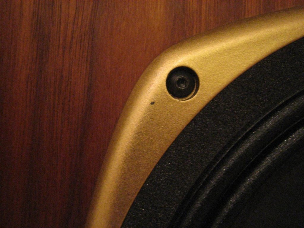IMG 4469 (Large)