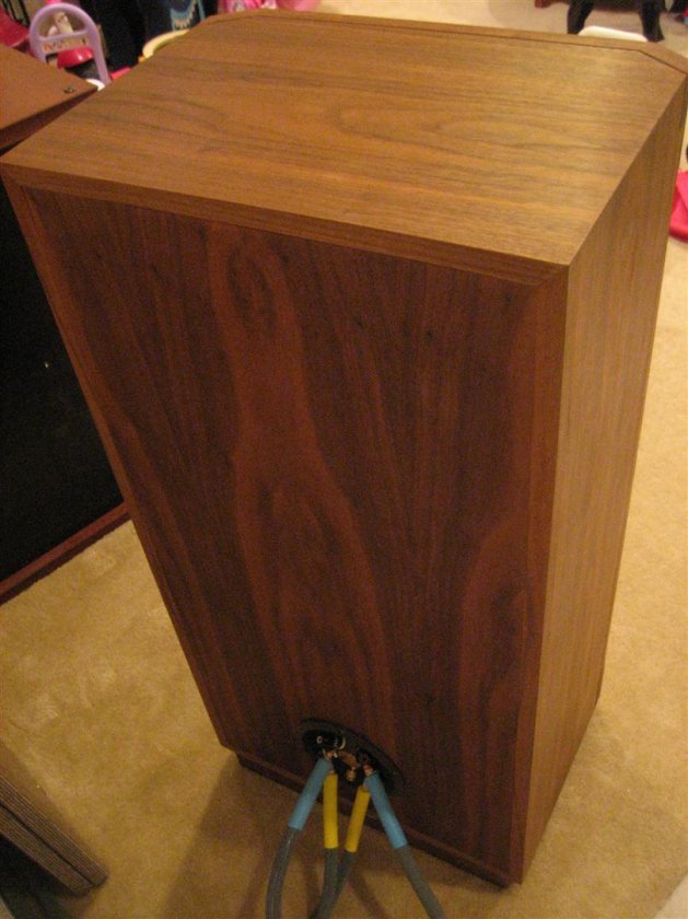 IMG 4513 (Large)