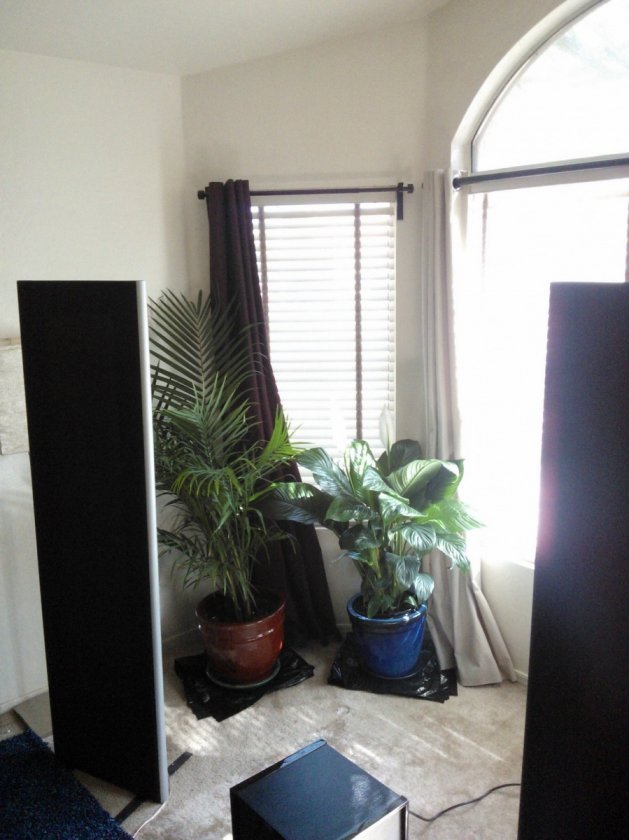 Plants behind left speaker to provide some diffusion.