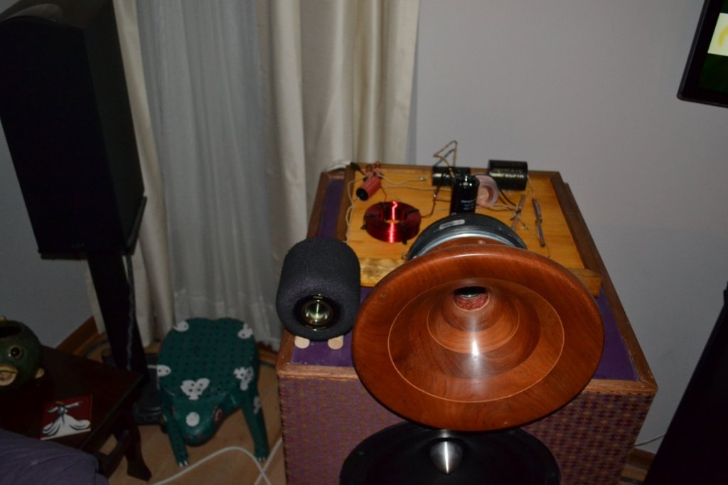 Horn1