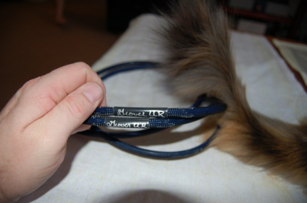 (Untitled)