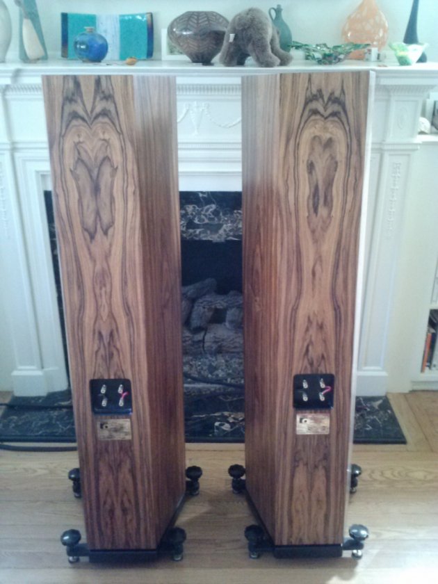 Montany rear