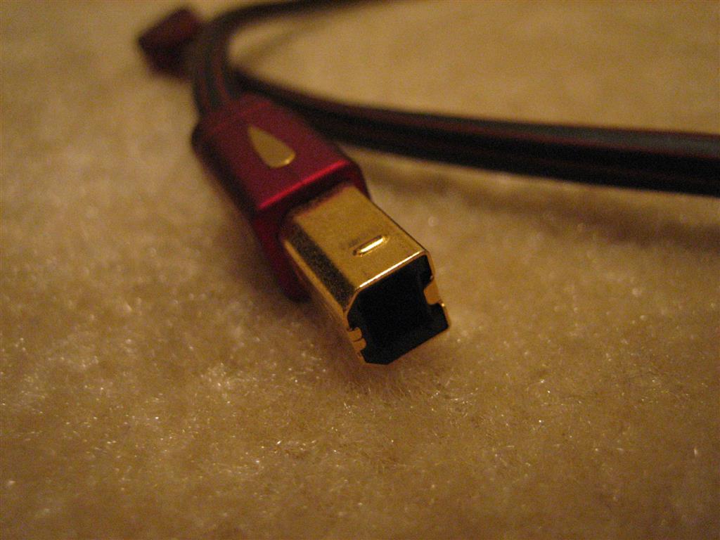 IMG 4504 (Large)