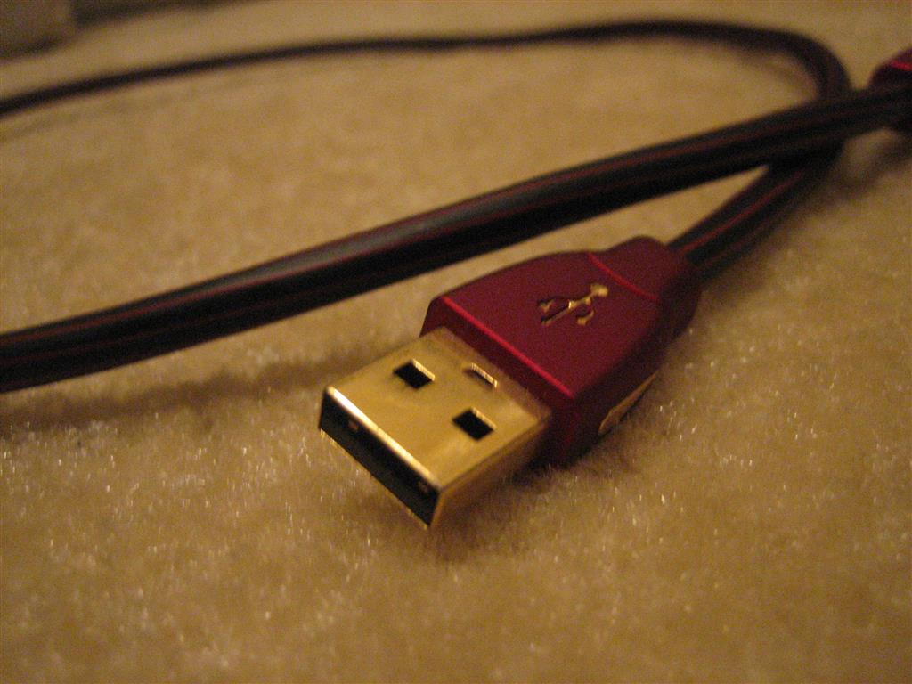 IMG 4506 (Large)