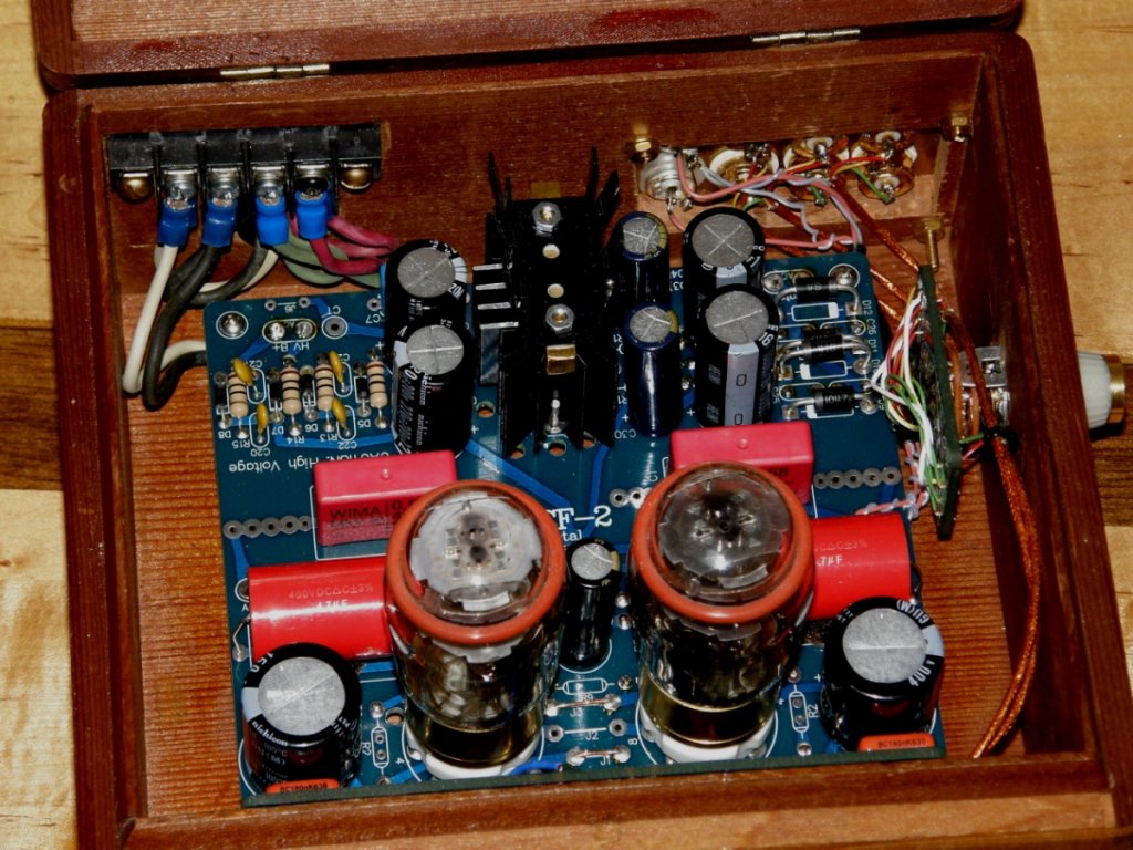 insides