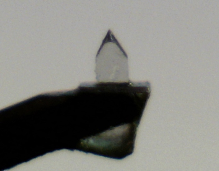 frame4